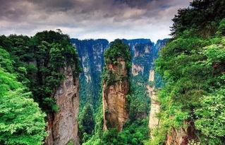 张家界最新新闻爆料,神秘洞穴发现罕见生物，探险之旅再掀热潮  第2张